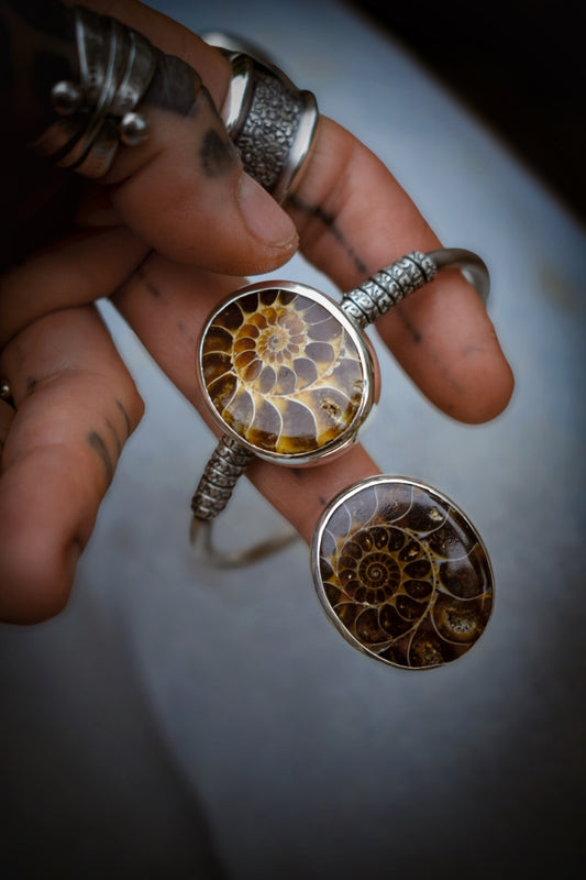 ORGANIQUE - Bague Ammonite T56