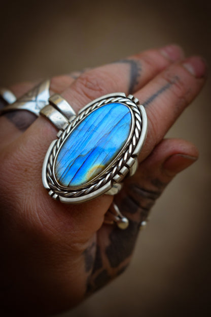 CHATOYANCE - Bague T54 en Argent & Labradorite