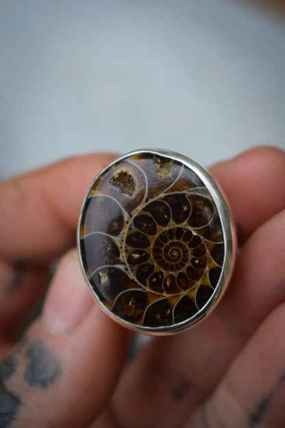 ORGANIQUE - Bague Ammonite T56