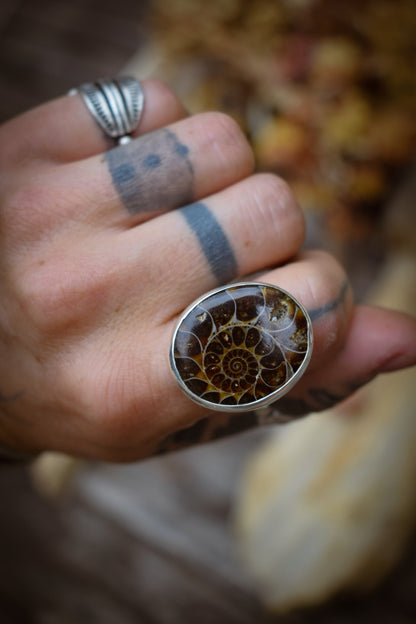 ORGANIQUE - Bague Ammonite T56